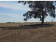 SECTION 197 Cnr Frances and Wiese Rd, Bordertown SA 5268