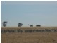 SECTION 197 Cnr Frances and Wiese Rd, Bordertown SA 5268