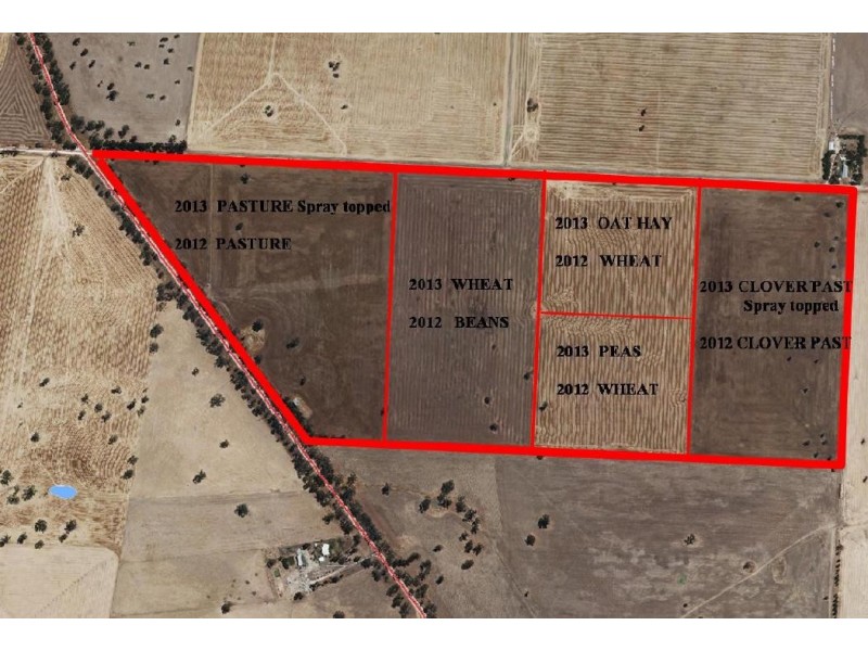 SECTION 197 Cnr Frances and Wiese Rd, Bordertown SA 5268