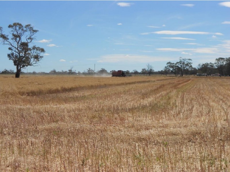 Lot 91 Cnr Frances Rd and Billy Lane, Bordertown SA 5268