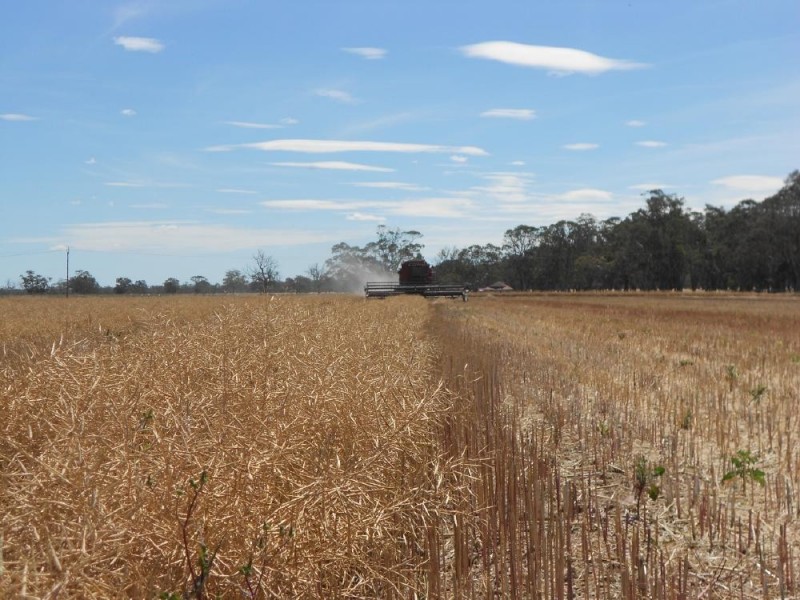 Lot 91 Cnr Frances Rd and Billy Lane, Bordertown SA 5268