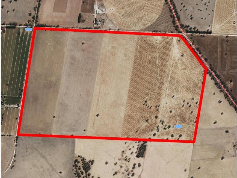 Lot 91 Cnr Frances Rd and Billy Lane, Bordertown SA 5268