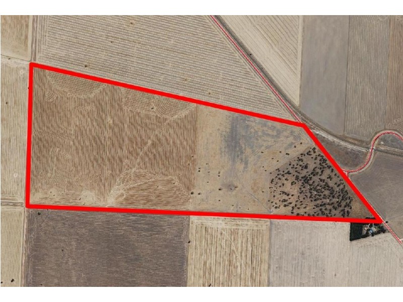 Sec 270 Cnr Tatiara and Wiese Rd, Bordertown SA 5268