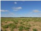 Lot 10 Dukes Highway, Tintinara SA 5266