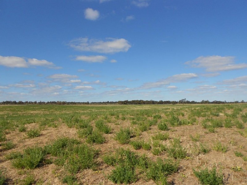 Lot 10 Dukes Highway, Tintinara SA 5266