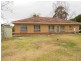Lot 10 Dukes Highway, Tintinara SA 5266
