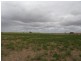 Lot 10 Dukes Highway, Tintinara SA 5266