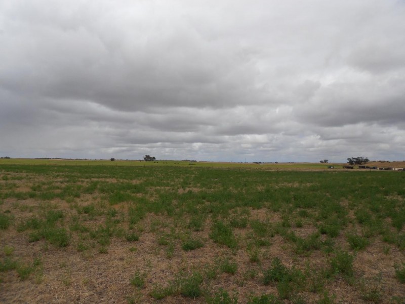 Lot 10 Dukes Highway, Tintinara SA 5266