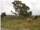 Lot 10 Dukes Highway, Tintinara SA 5266