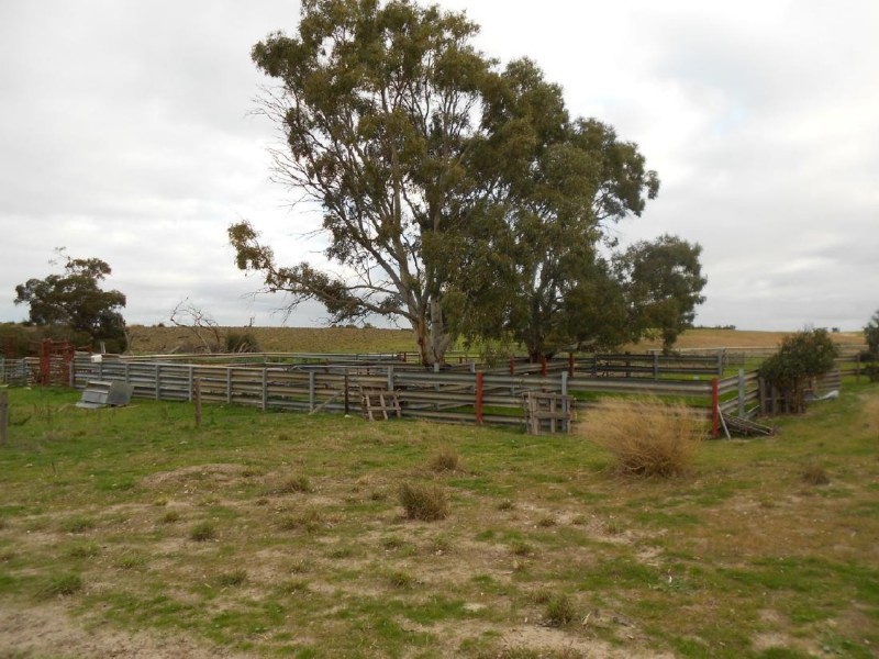 Lot 10 Dukes Highway, Tintinara SA 5266
