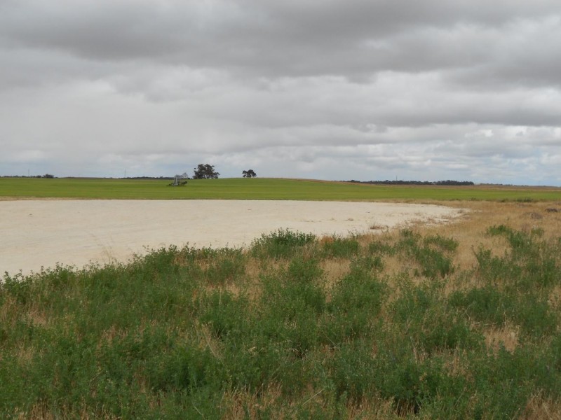 Lot 10 Dukes Highway, Tintinara SA 5266