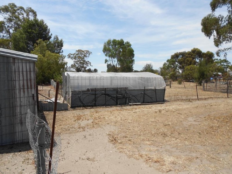 120 Cannawigara Rd, Bordertown SA 5268