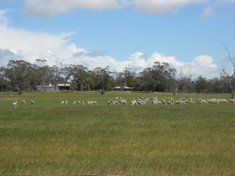 2147 Bangham Road, Frances SA 5262