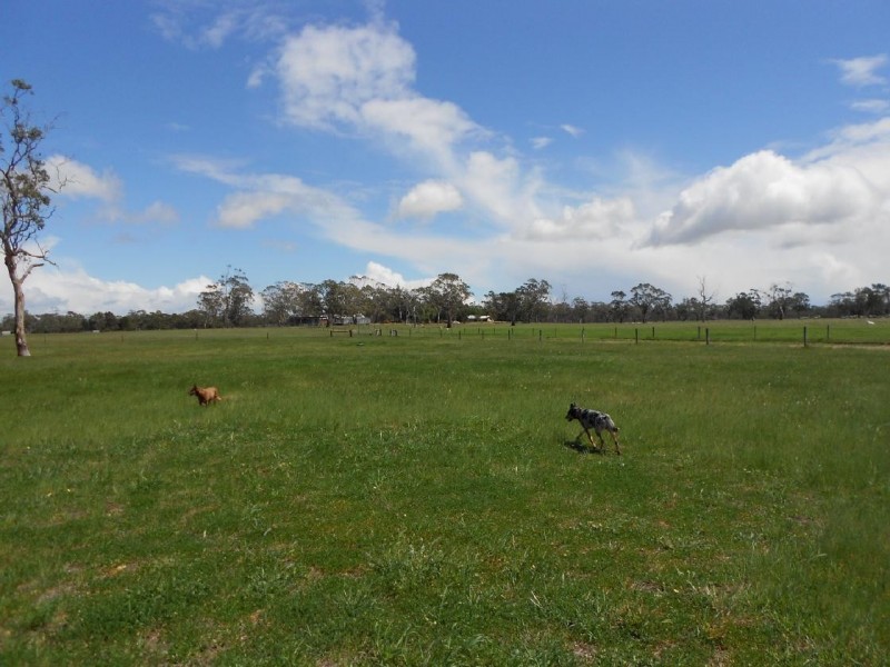 2147 Bangham Road, Frances SA 5262