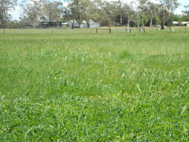 2147 Bangham Road, Frances SA 5262