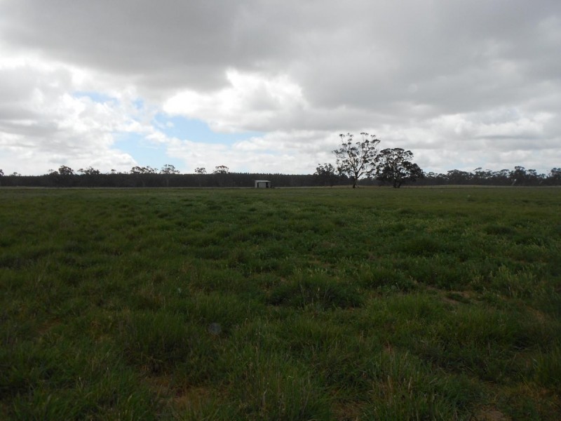 2147 Bangham Road, Frances SA 5262