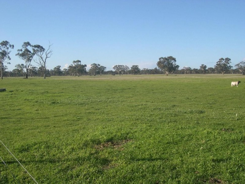 1940 Bangham Road, Frances SA 5262