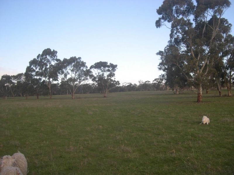 1940 Bangham Road, Frances SA 5262