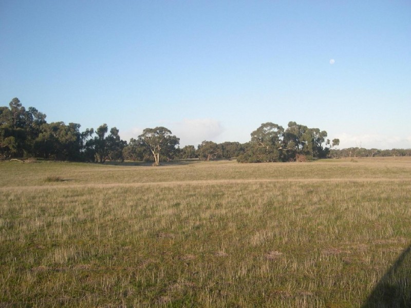 1940 Bangham Road, Frances SA 5262