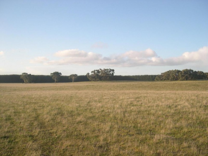 1940 Bangham Road, Frances SA 5262