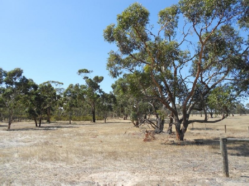 1850 Bangham Road, Frances SA 5262