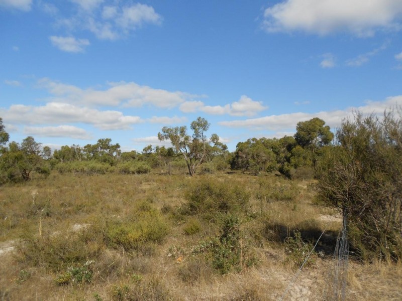 1850 Bangham Road, Frances SA 5262