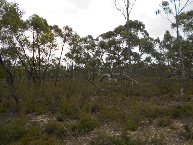 1850 Bangham Road, Frances SA 5262