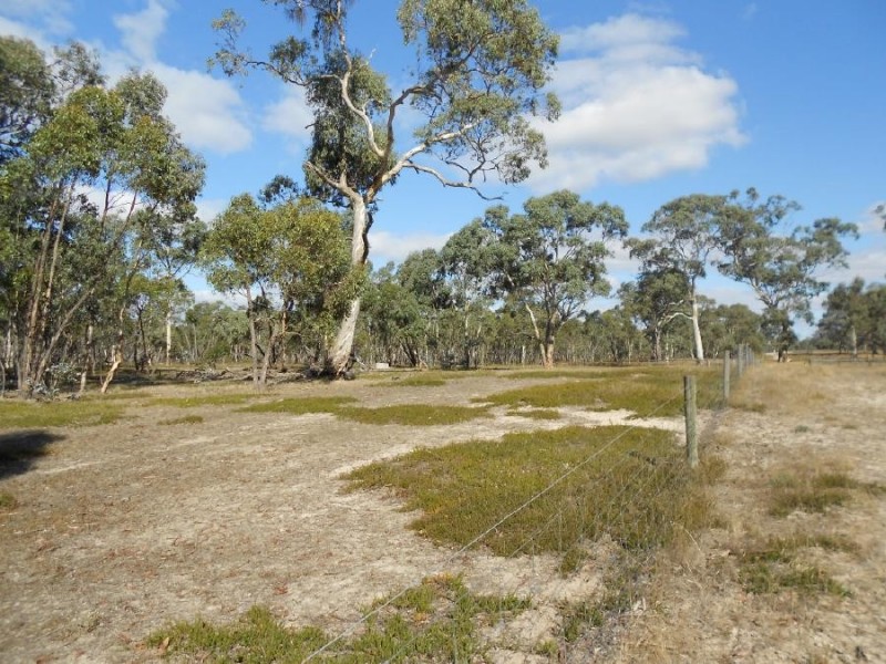 1850 Bangham Road, Frances SA 5262