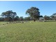 3080 Naracoorte Road, Western Flat SA 5268
