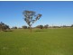 3080 Naracoorte Road, Western Flat SA 5268