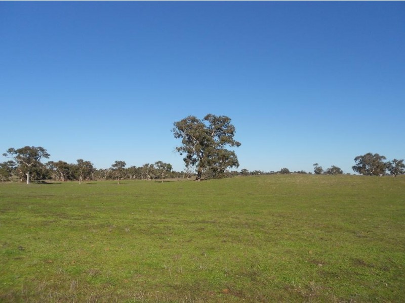 3080 Naracoorte Road, Western Flat SA 5268