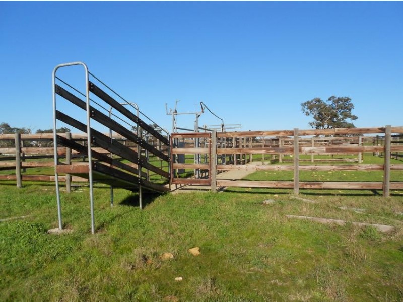 3080 Naracoorte Road, Western Flat SA 5268