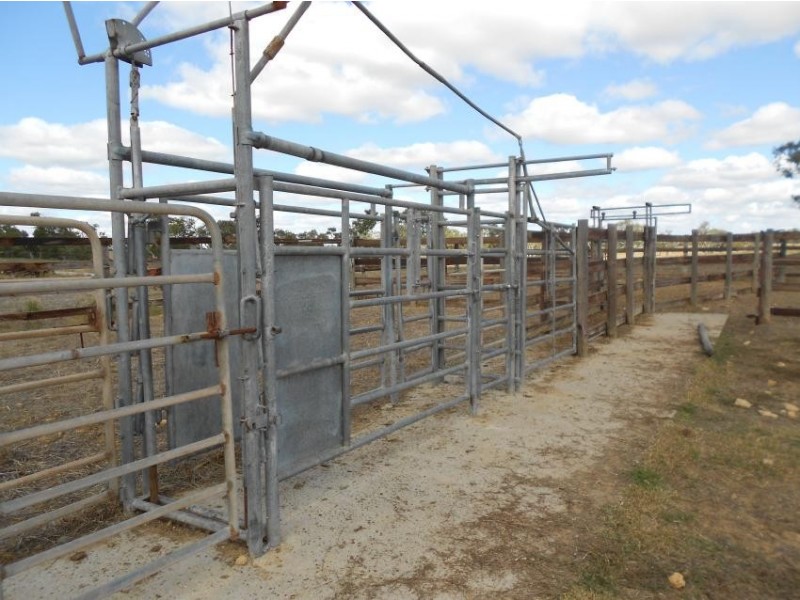 3080 Naracoorte Road, Western Flat SA 5268