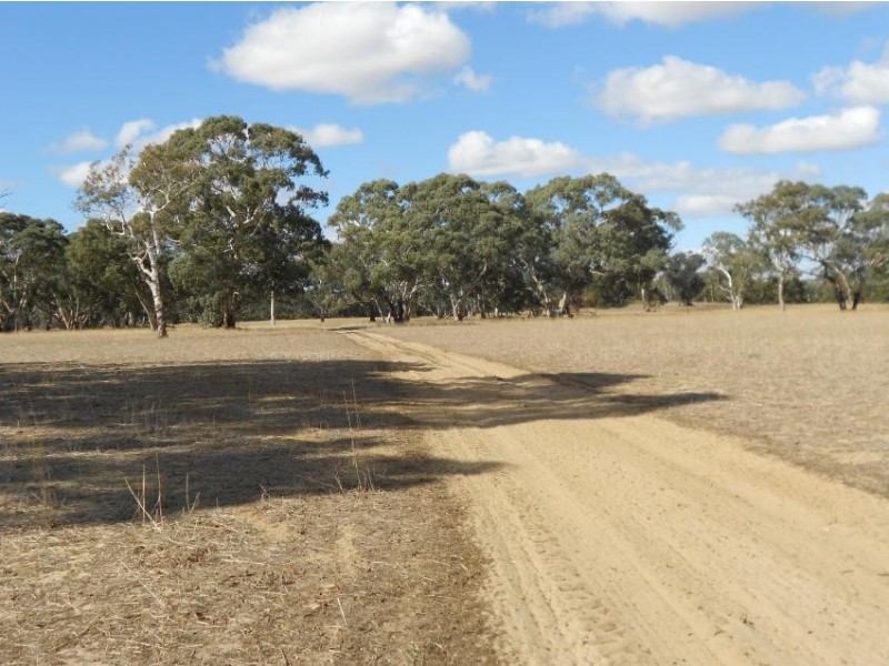 3080 Naracoorte Road, Western Flat SA 5268