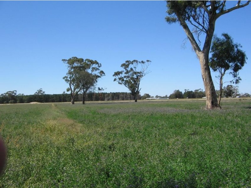 388 Cooper Road, Western Flat SA 5268