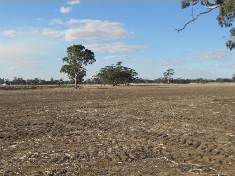 388 Cooper Road, Western Flat SA 5268