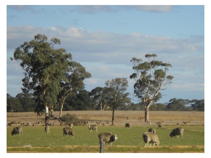 388 Cooper Road, Western Flat SA 5268