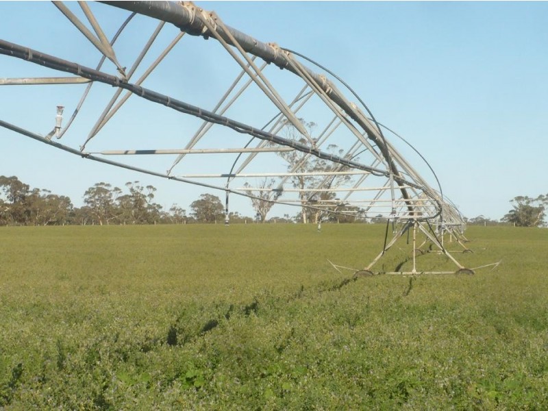 388 Cooper Road, Western Flat SA 5268