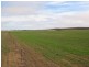 Pt Lot 32 Probert Road, Lameroo SA 5302