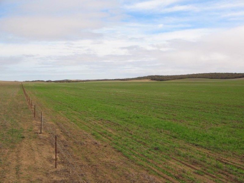 Pt Lot 32 Probert Road, Lameroo SA 5302
