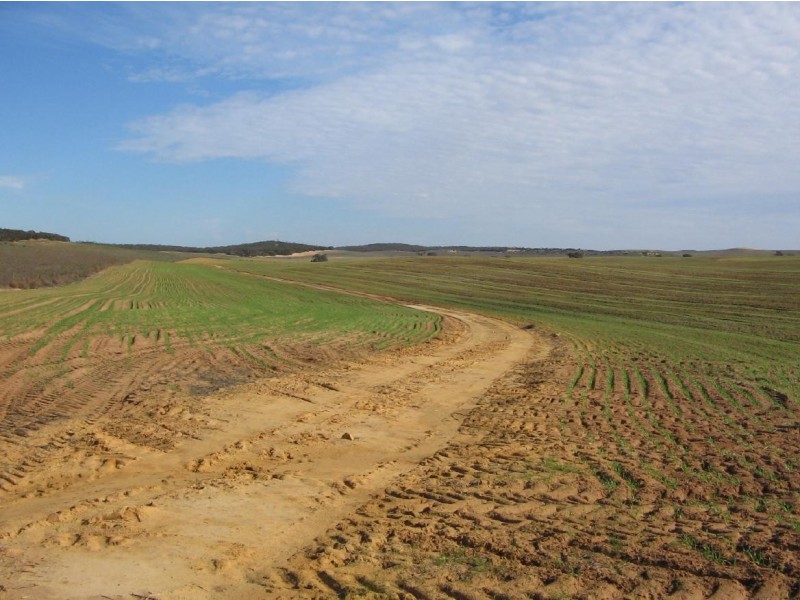 Pt Lot 32 Probert Road, Lameroo SA 5302