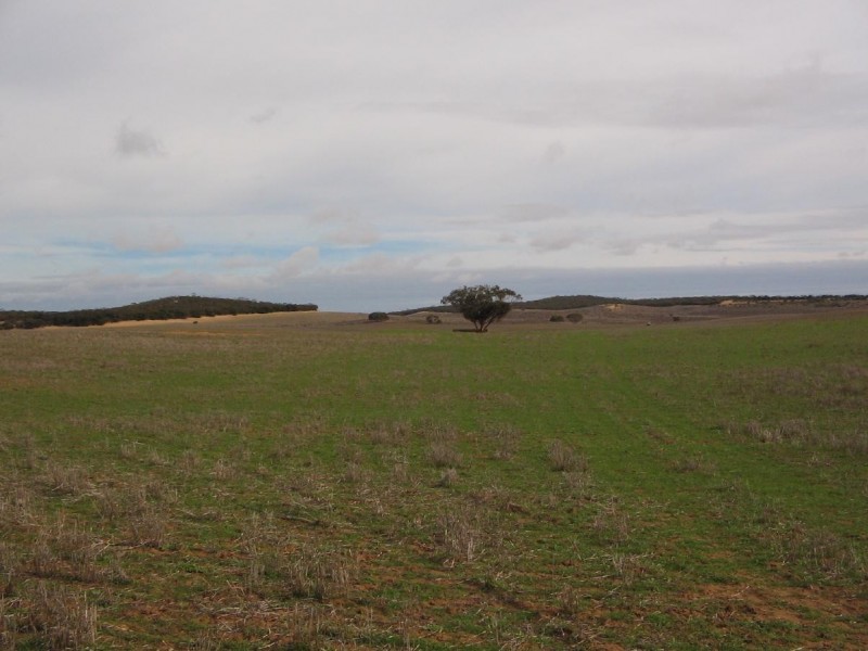 Pt Lot 32 Probert Road, Lameroo SA 5302