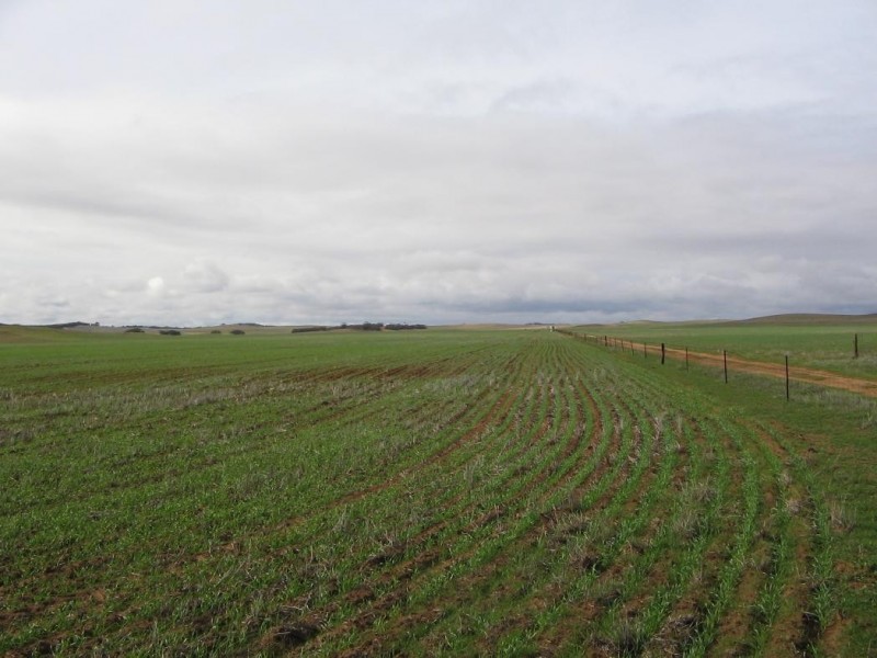 Pt Lot 32 Probert Road, Lameroo SA 5302