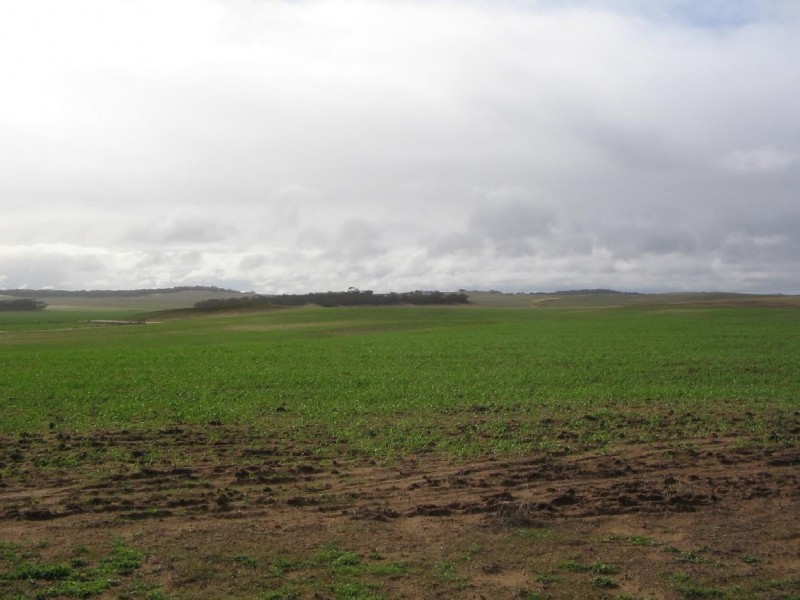 Pt. Lot 32 Lee Road, Lameroo SA 5302