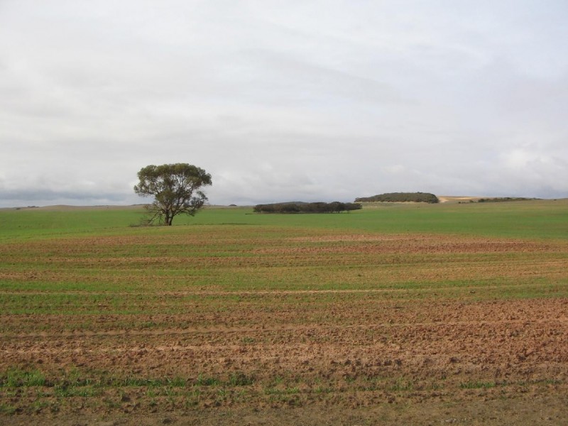 Pt. Lot 32 Lee Road, Lameroo SA 5302