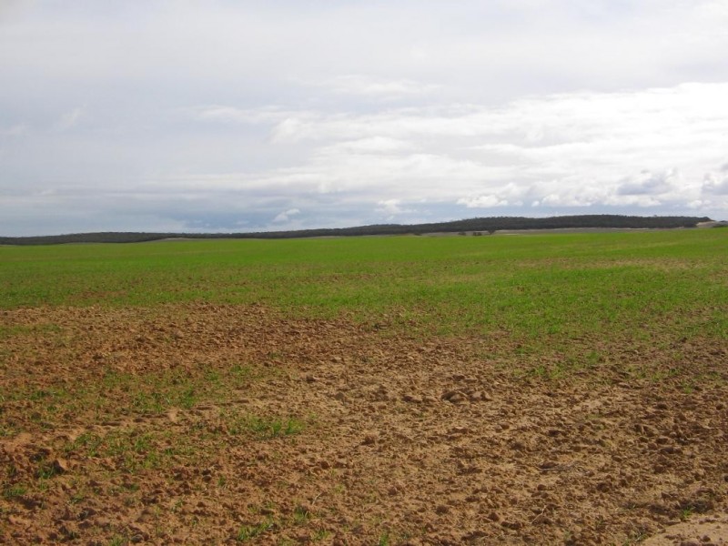 Pt. Lot 32 Lee Road, Lameroo SA 5302