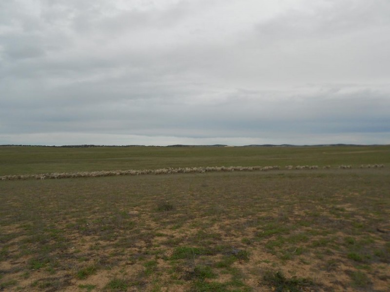 Sec. 25 Probert Road, Lameroo SA 5302