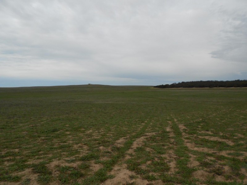 Sec. 25 Probert Road, Lameroo SA 5302