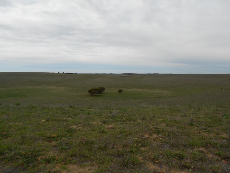 Sec. 25 Probert Road, Lameroo SA 5302