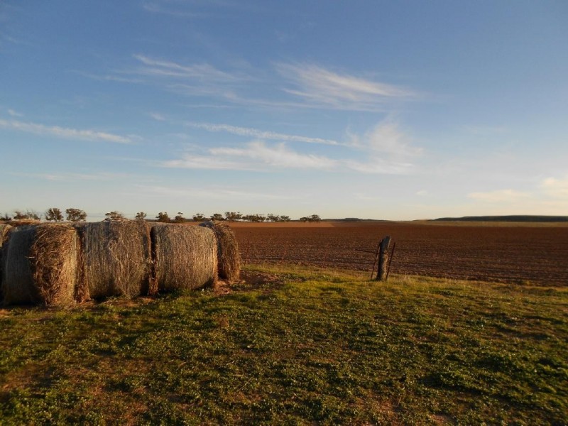 Sec 24 101  Mayr Road, Lameroo SA 5302
